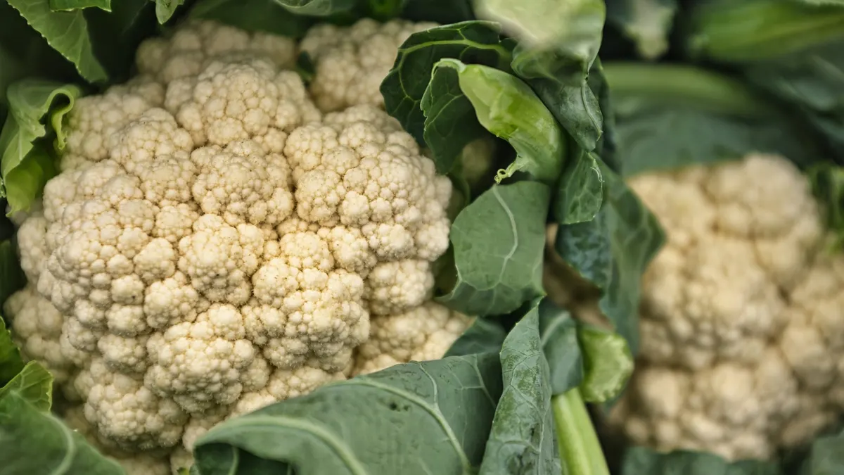 Cavolfiori con foglie ingiallite: quando eliminarle e quando è meglio non toccarle