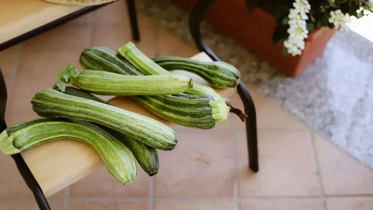 Zucchine ancora produttive a ottobre: quando conviene togliere le piante?